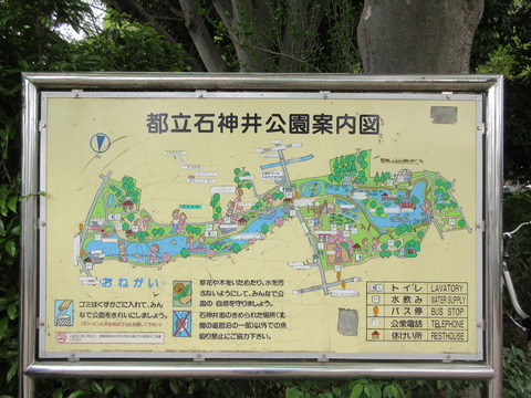 81石神井公園４