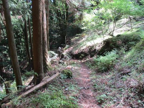 281水根新道分岐点3