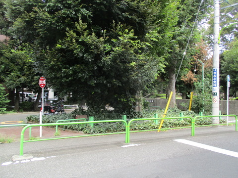 105世田谷公園2