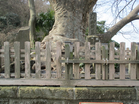 51六代御前7