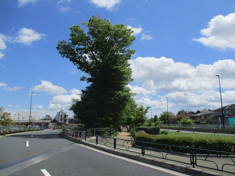 110道路3