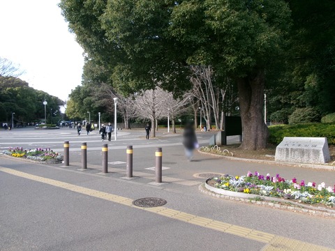 87代々木公園１