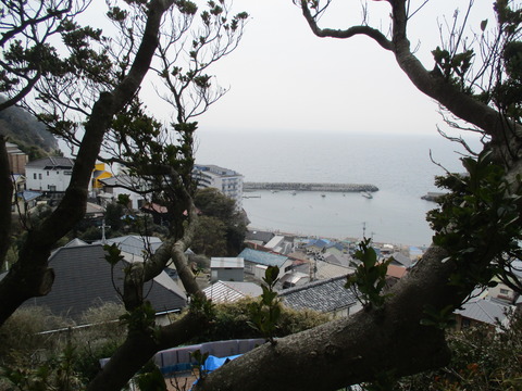 153天照大神社12