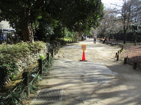 44散歩道3