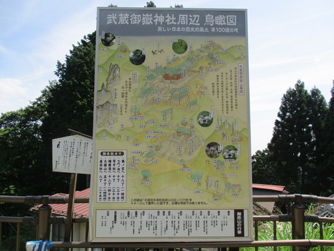 60鳥瞰図