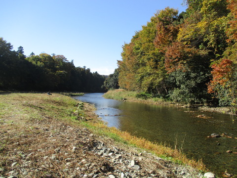 115嵐山渓谷8