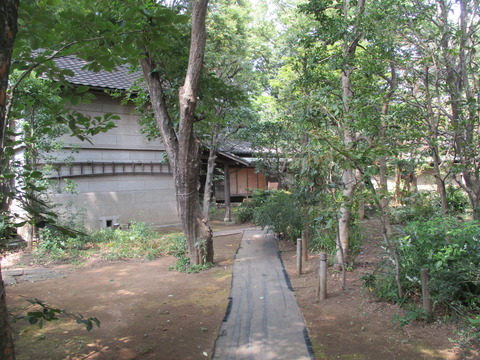 17市民緑地7