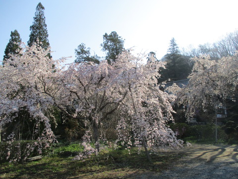 30法善寺14