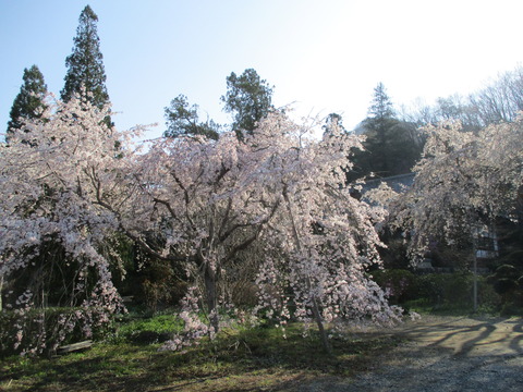 30法善寺１４