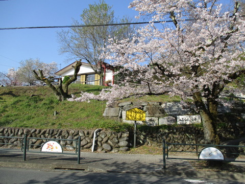 39真性寺1