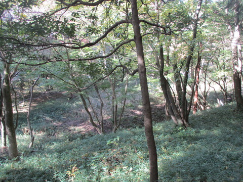 149川沿い2
