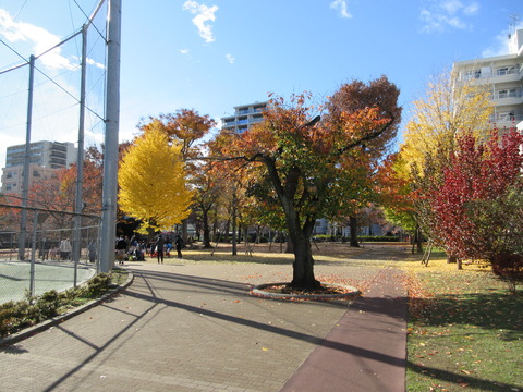 150本五ふれあい公園2