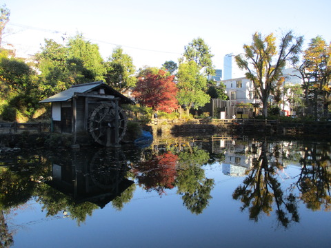 139鍋島松濤公園９