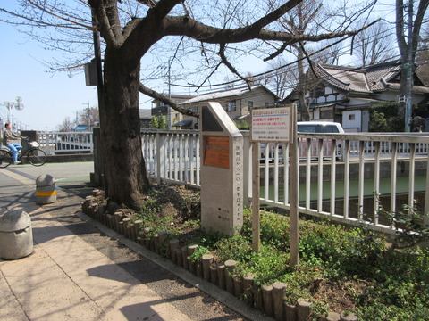 79新大橋1