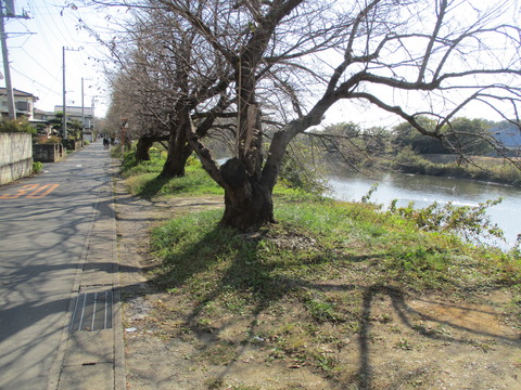133元荒川沿い1