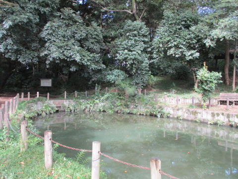 100玉敷公園10
