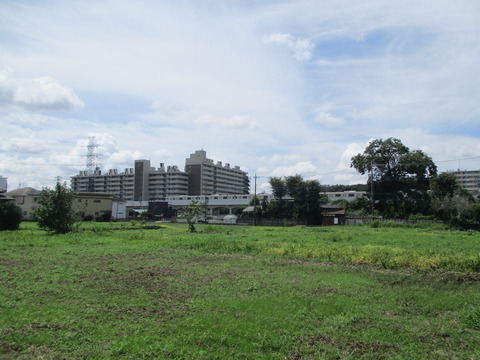 38田んぼ2