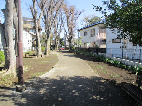 12本村公園7