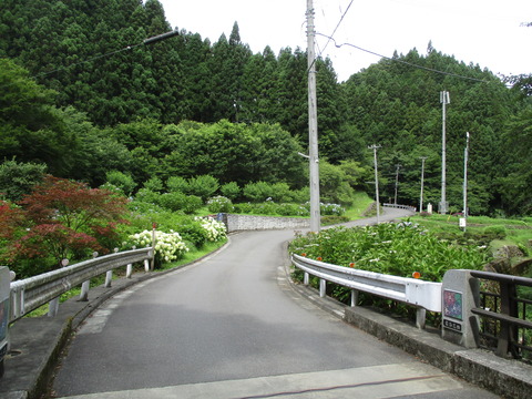 44紫陽花橋3