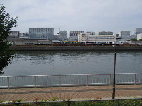 157ＮＯＶＡＲＥウォーク７