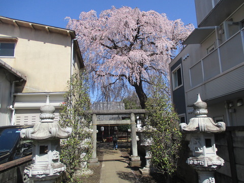 80八幡神社3