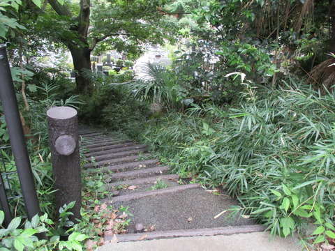 104地獄坂2