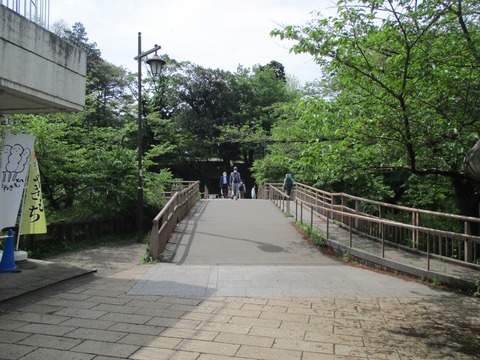 13狛江橋1