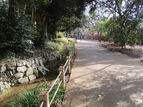59散歩道18