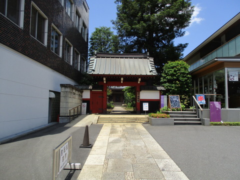 110金剛院1