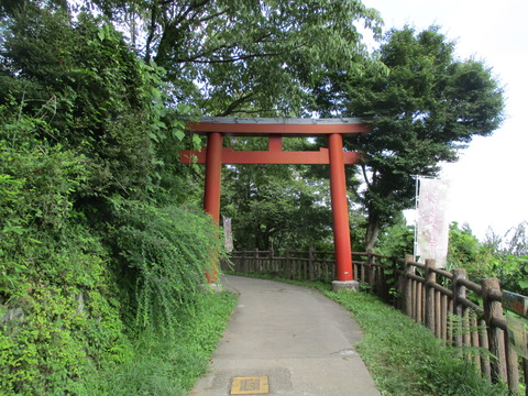 235鳥居1