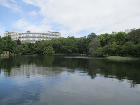 08七井橋3