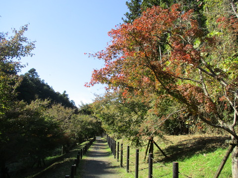 124渡った先2