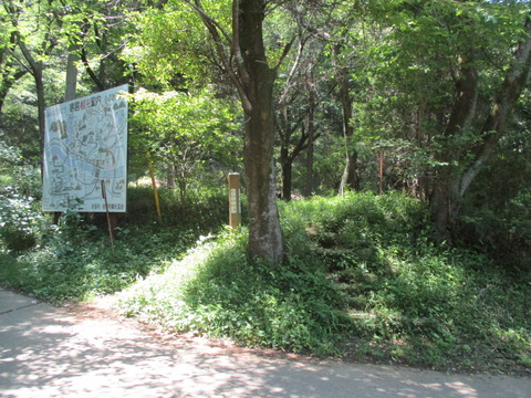 86羅漢山入口2