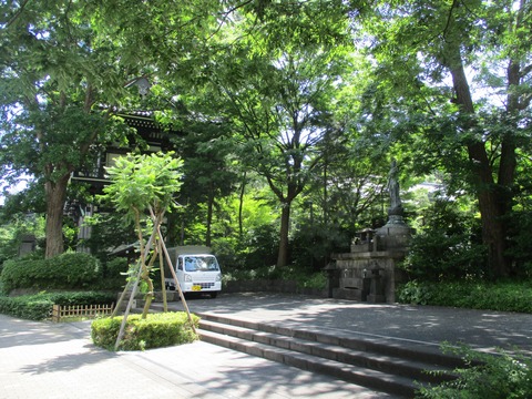 164青松寺1