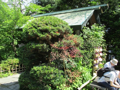 225芝大神宮14