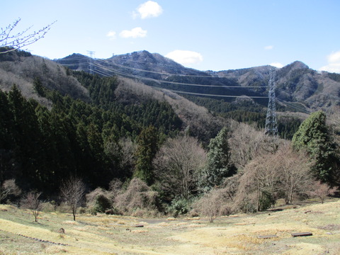 126公園8