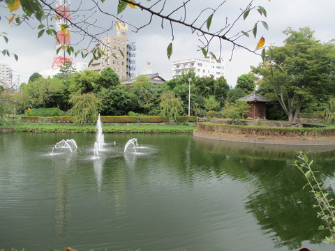 30再び下沼公園3