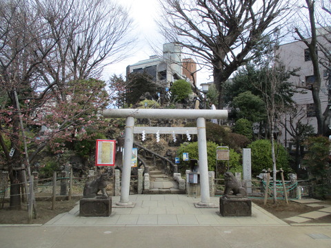 50鳩森八幡神社９