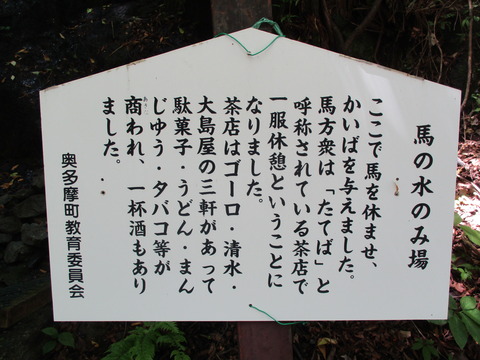 224馬の水のみ場3