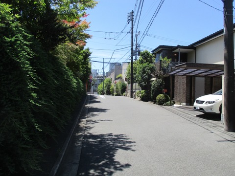 49旧いもり川道8