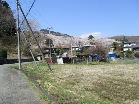 114遠くに野土山２