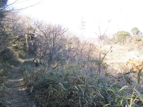 171果樹園4