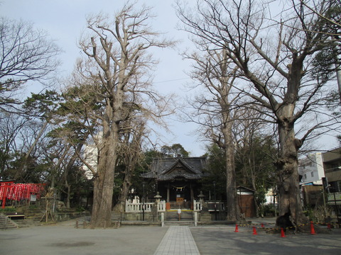 08亀岡八幡宮５