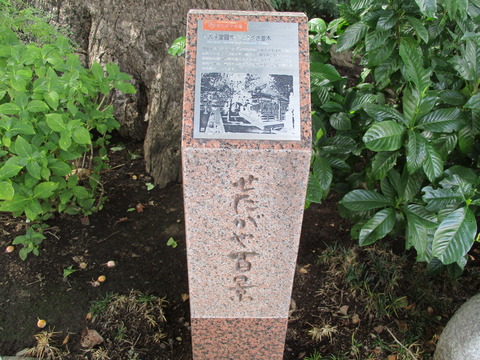 182円泉寺11