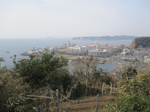 132大崎公園3
