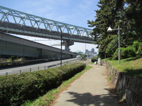 43夢の島緑道公園６