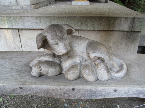 122子育て犬2