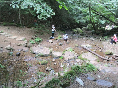 176御岳沢6