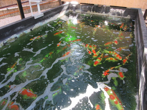 161感通寺17
