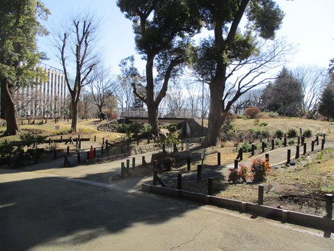 196戸山公園5